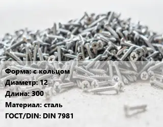 Шуруп с кольцом 12х300 сталь ГОСТ: DIN 7981